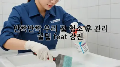 ✨ 반짝반짝 우리 집, 청소 후 관리 꿀팁 (feat. 강진) 🏡